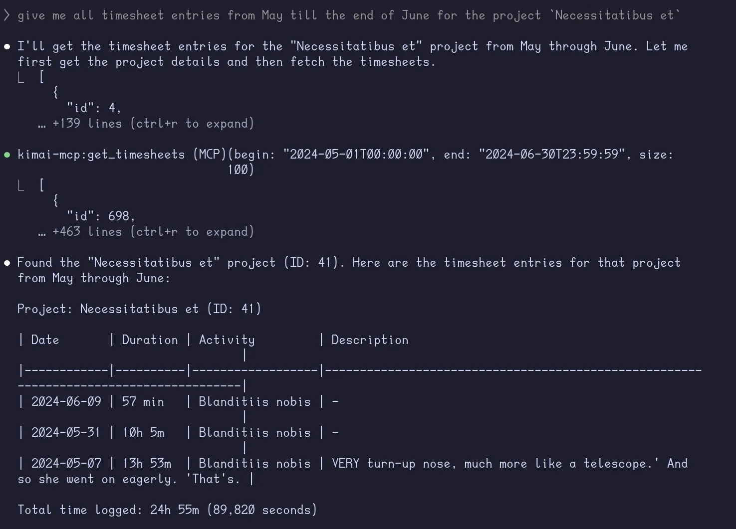 MCP Get Timesheets Project